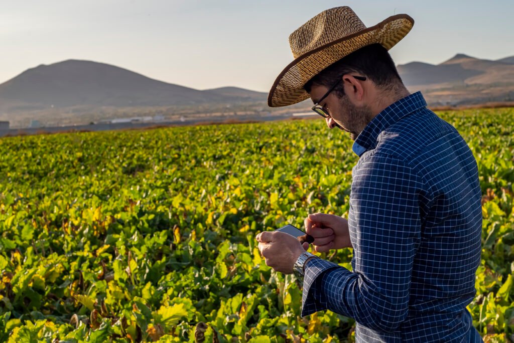 caucasian farmer in a hat using modern technology in agriculture. smart farming
