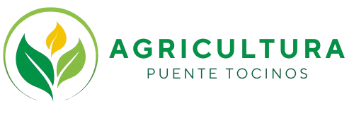 agricultura puente tocino